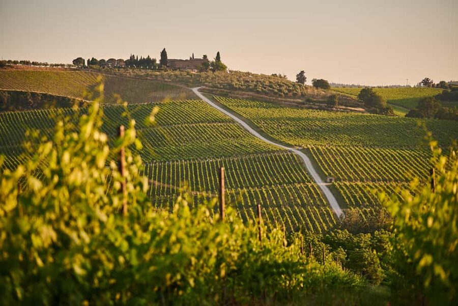 From Florence: Chianti Wine Tour with Driver-Guide - Who this Chianti tour fits best