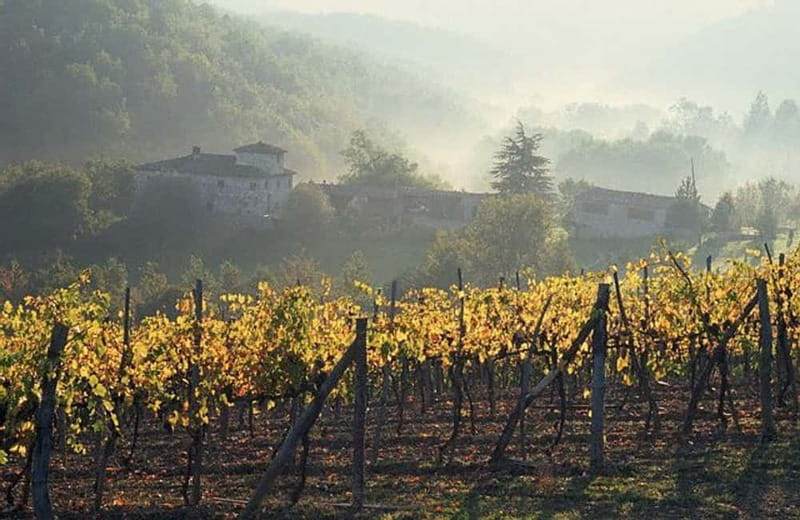 From Florence: Chianti Wine Tour with Driver-Guide - Montefioralle and Greve: the “small town” stops that anchor the day