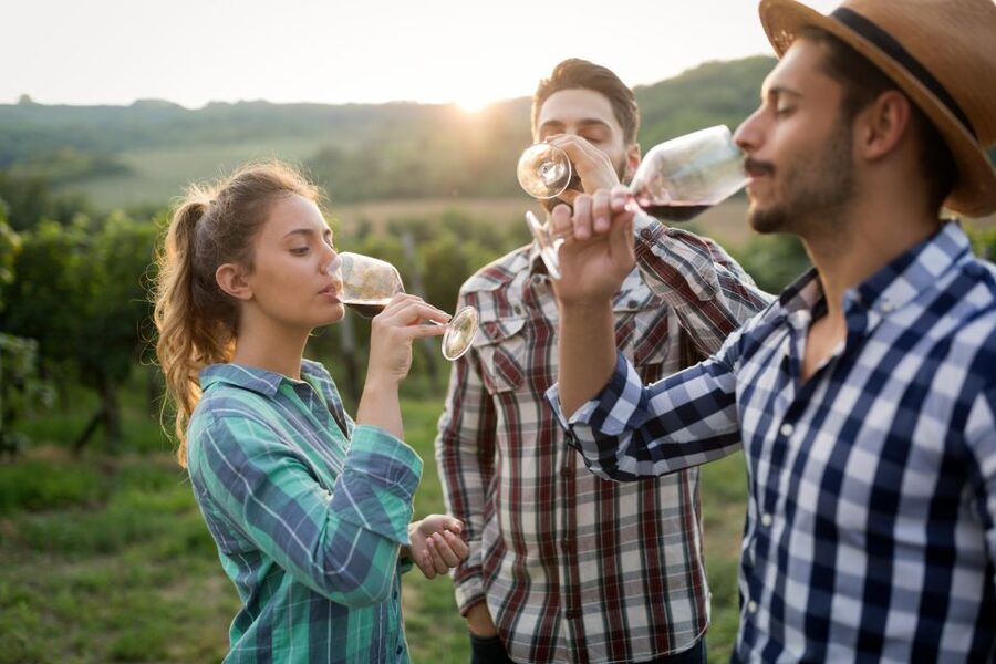 From Florence: Chianti Wine Tour with Tasting - What is actually included (and why it matters for value)