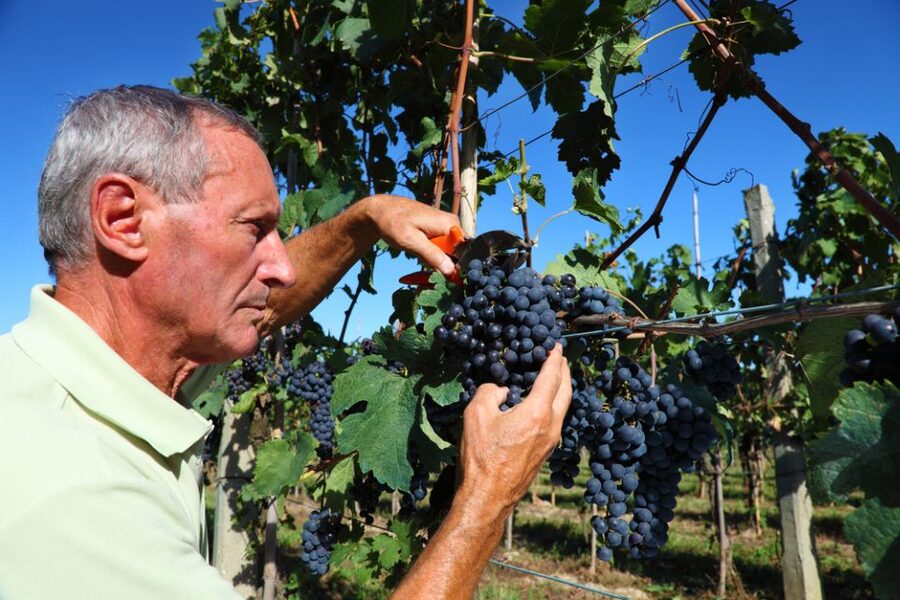 From Florence: Chianti Wine Tour with Tasting - How the tour feels for wine beginners vs wine nerds