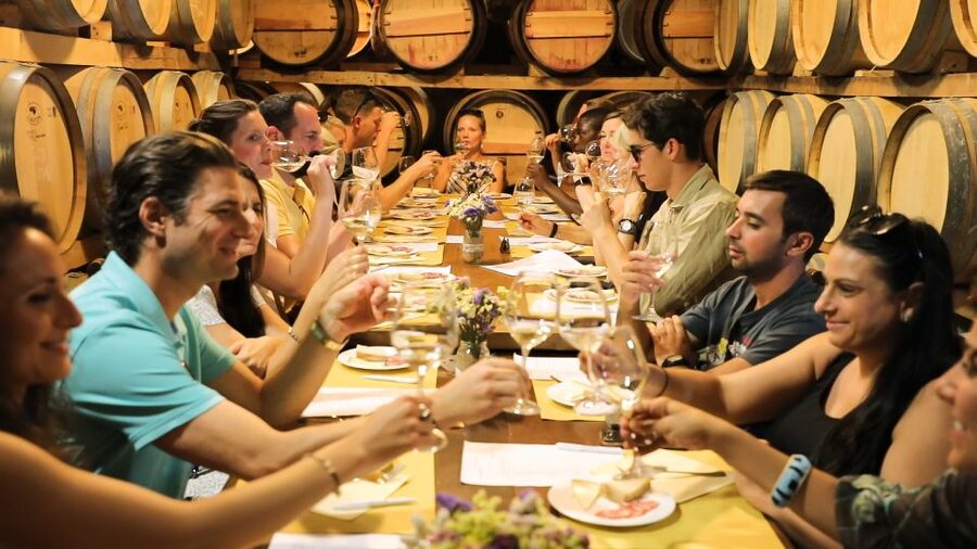 From Florence: Chianti Wine Tour with Tastings - Key Things You Will Notice On This Chianti Wine Tour