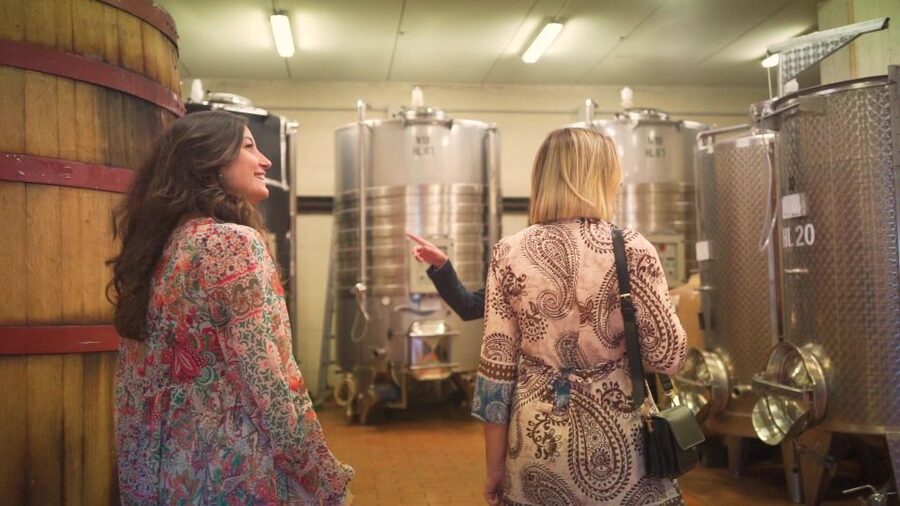 From Florence: Chianti Wine Tour with Tastings - Stop 2 at the Family-Run Organic Winery With Cellars and an Aromatic Garden