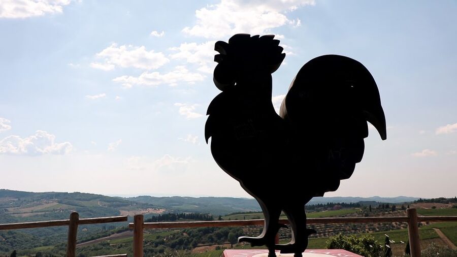 From Florence: Chianti Wine Tour with Tastings - The Wine Lineup You May Taste, Including Chianti Riserva and Supertuscan