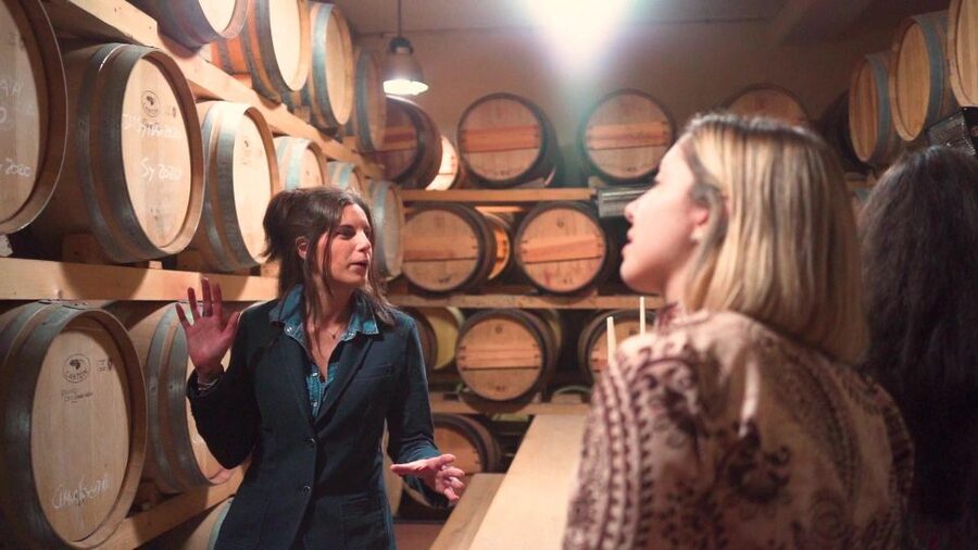 From Florence: Chianti Wine Tour with Tastings - Comfort Tips That Make the Day Easier
