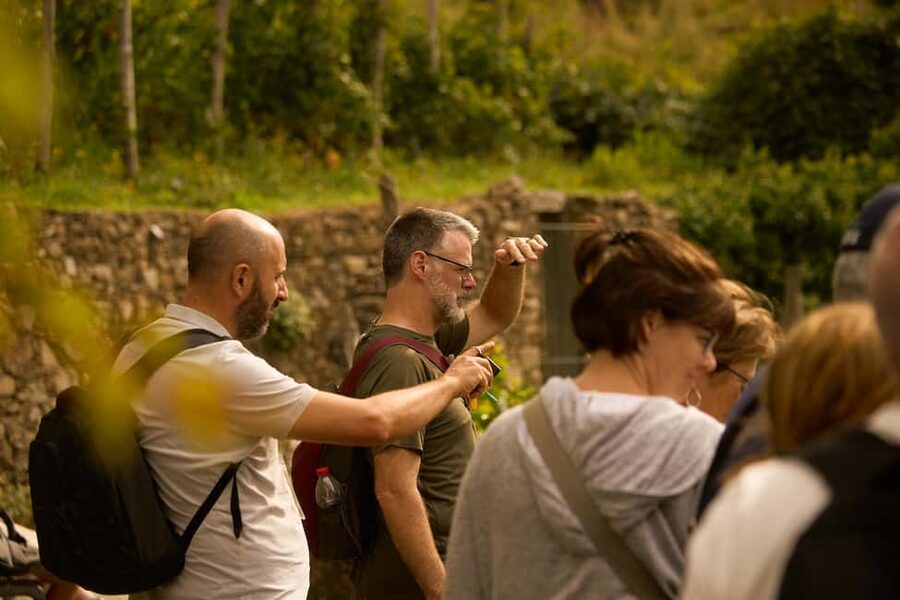 From Florence: Cinque Terre Day Trip with Local Guide - How the Park Makes Sense: Terraces, Vineyards, and Fishing Villages