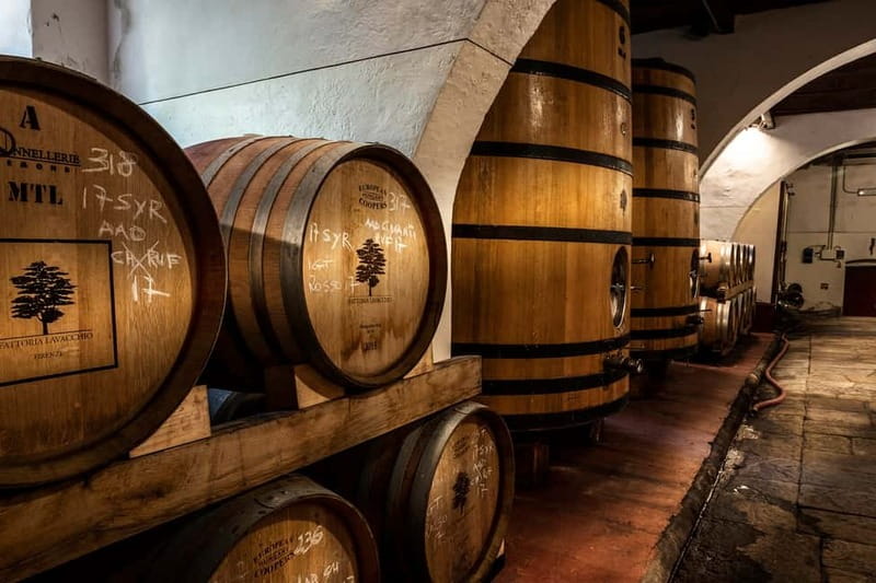 From Florence: Horse Ride and Wine Tour at Estate with Lunch - Your Chianti estate stop: partial tour, cellars, and the vinsantaia