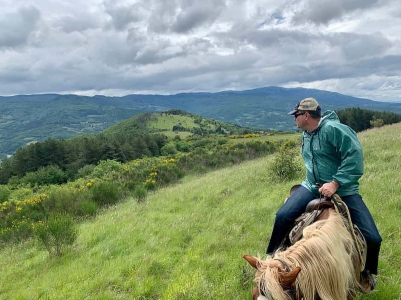 From Florence: Horse Ride and Wine Tour at Estate with Lunch - Lunch with classic ingredients and four Chianti and Super Tuscan tastings