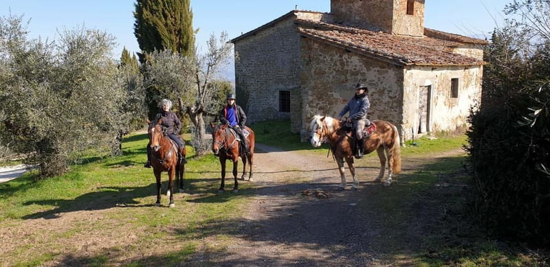 From Florence: Horse Ride and Wine Tour at Estate with Lunch - Who should take this Florence horse ride and Chianti wine lunch