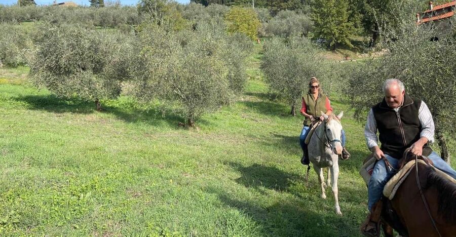 From Florence: Horseback Ride and Olive Oil and food tasting - Key highlights to look for