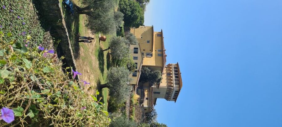 From Florence: Horseback Ride and Olive Oil and food tasting - Price and value around $377 per person