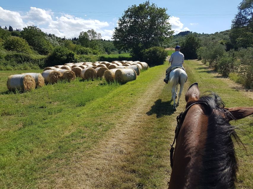 From Florence: Horseback Ride and Olive Oil and food tasting - Horse matching and the 5-senses reality of riding