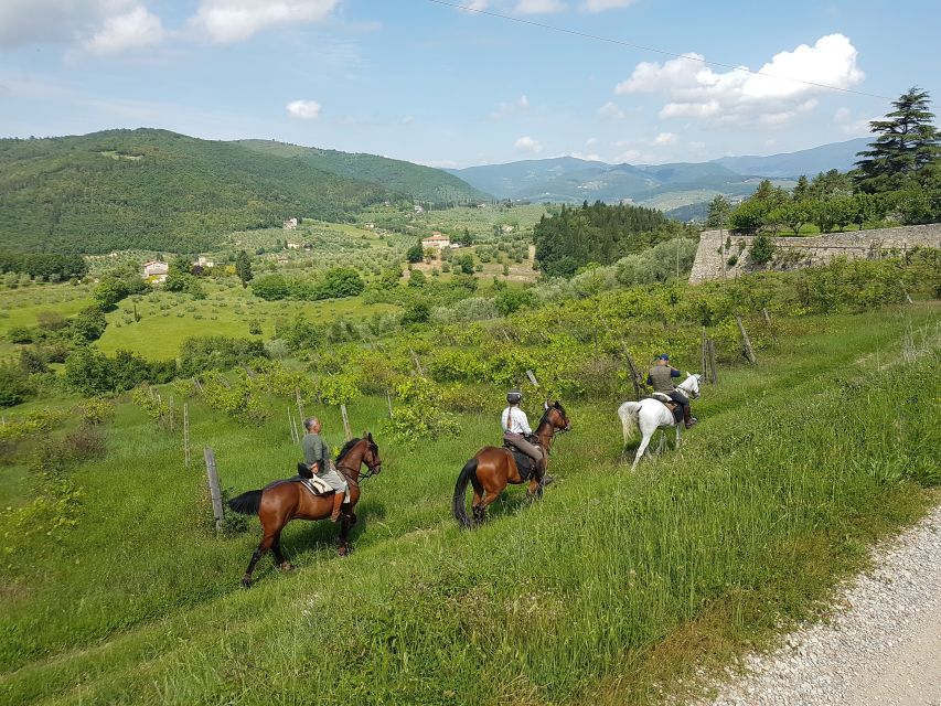 From Florence: Horseback Ride and Olive Oil and food tasting - The food moment: Chianti hills flavor, not a heavy lunch