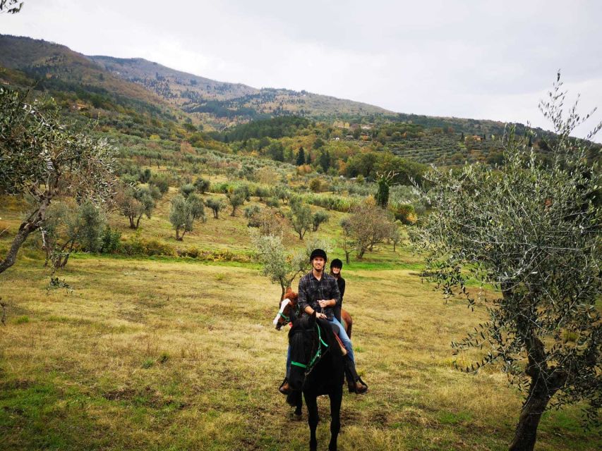 From Florence: Horseback Ride and Olive Oil and food tasting - Getting out of Florence without wasting time