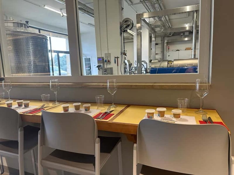 From Florence: Olive Oil Mill Tour and Tasting in Fiesole - Key Things I’d Prioritize Before You Go