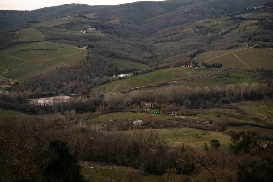 From Florence: Private Chianti Hills Tour with Tasting - Key Things I’d Put on Your Radar