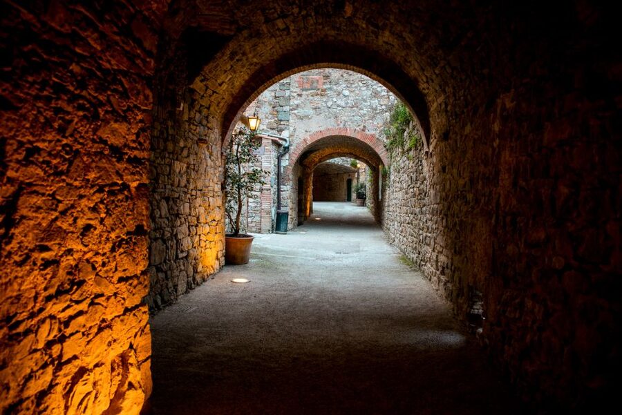 From Florence: Private Chianti Hills Tour with Tasting - Who This Tour Fits Best