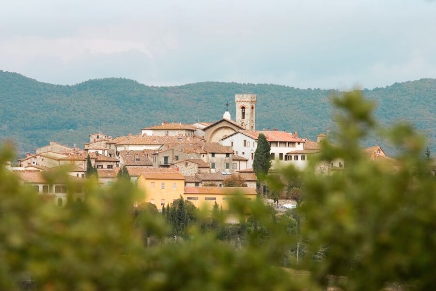 From Florence: Private Chianti Hills Tour with Tasting - Buying Wine and Typical Products Without Turning It Into a Sales Pitch