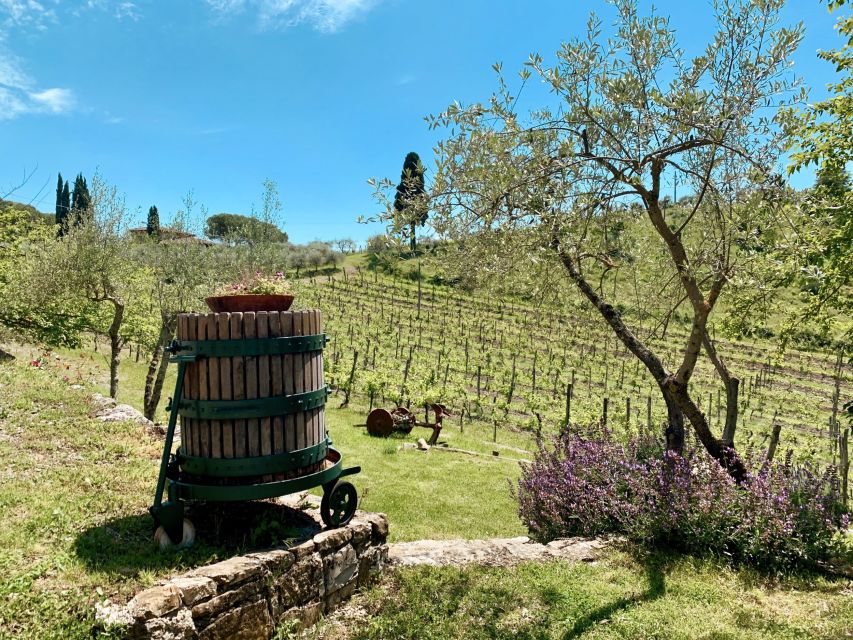 From Florence: Private Chianti Hills Tour with Tasting - The Main Tradeoffs: Food Size, Pace, and How Similar or Different the Wineries Feel