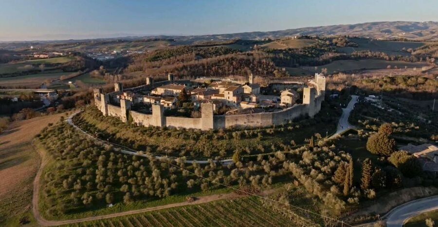 From Florence: Private Siena, San Gimignano + wine tasting - Winery tasting: Vernaccia white wine, olive oil, and how it all gets made