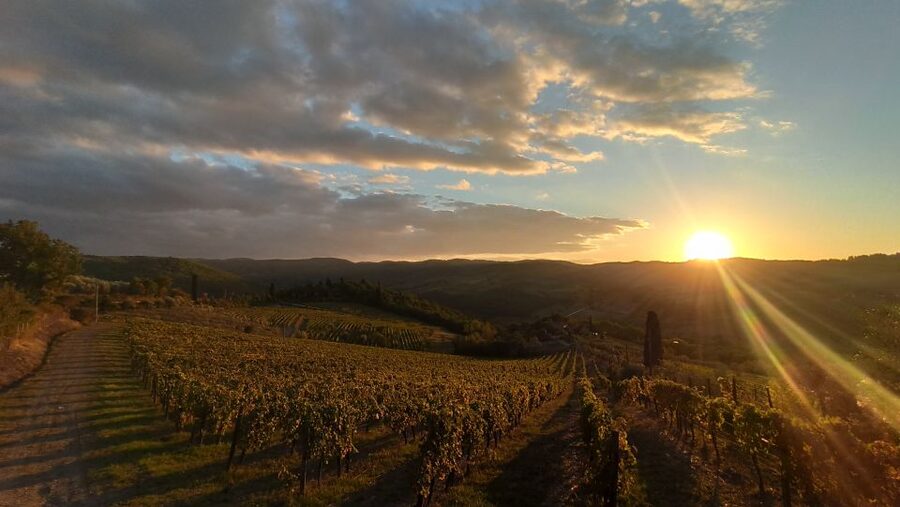 From Florence: Private Wine Tasting Tour in Chianti - Key things to know before you go