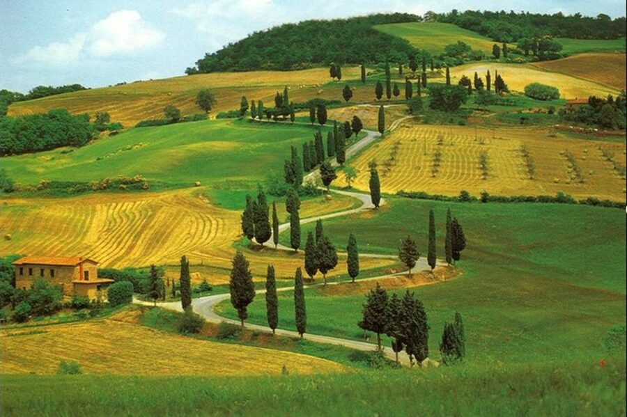 From Florence: Private Wine Tasting Tour in Chianti - Booking verdict: should you choose this Florence to Chianti tour?