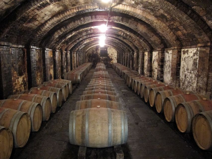 From Florence: Private Wine Tasting Tour in Chianti - Why Chianti wine tastes better with a Sangiovese lesson