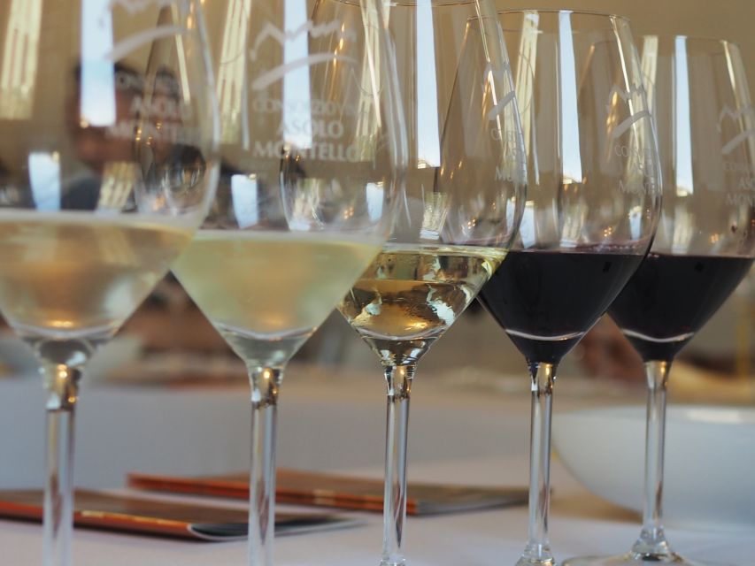 From Florence: Private Wine Tasting Tour in Chianti - Winery stop one: a family welcome, vineyard to cellar, then multiple Chiantis