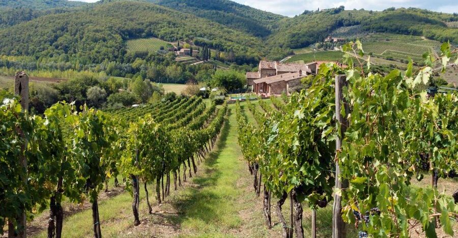 From Florence: Private Wine Tasting Tour in Chianti - Stop two lunch in Chianti: terrace views in season, wine maker pairing at the table