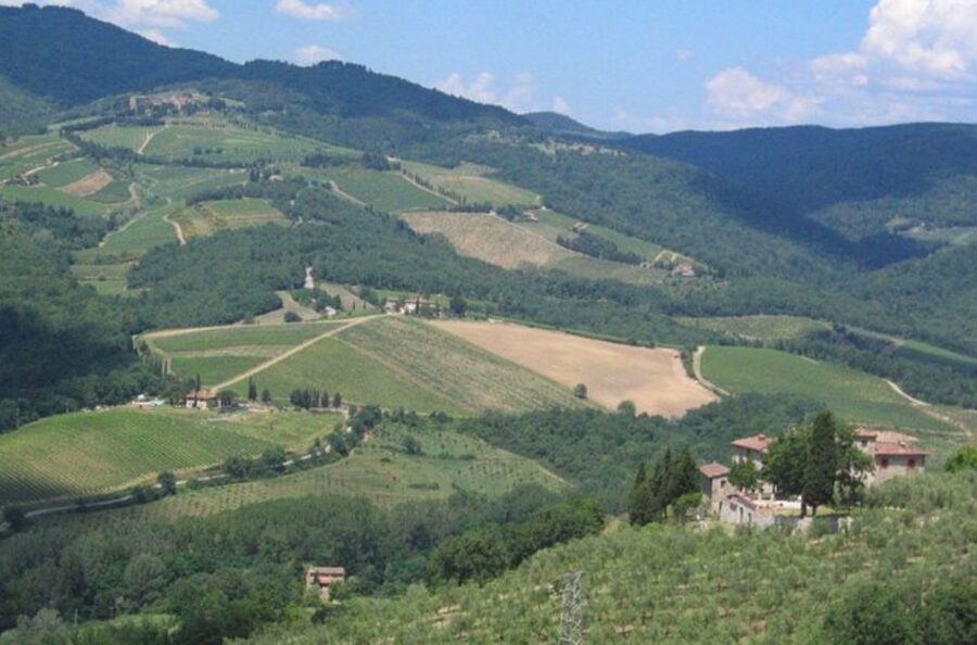 From Florence: Private Wine Tasting Tour in Chianti - Value check: is $586.07 per person worth it?