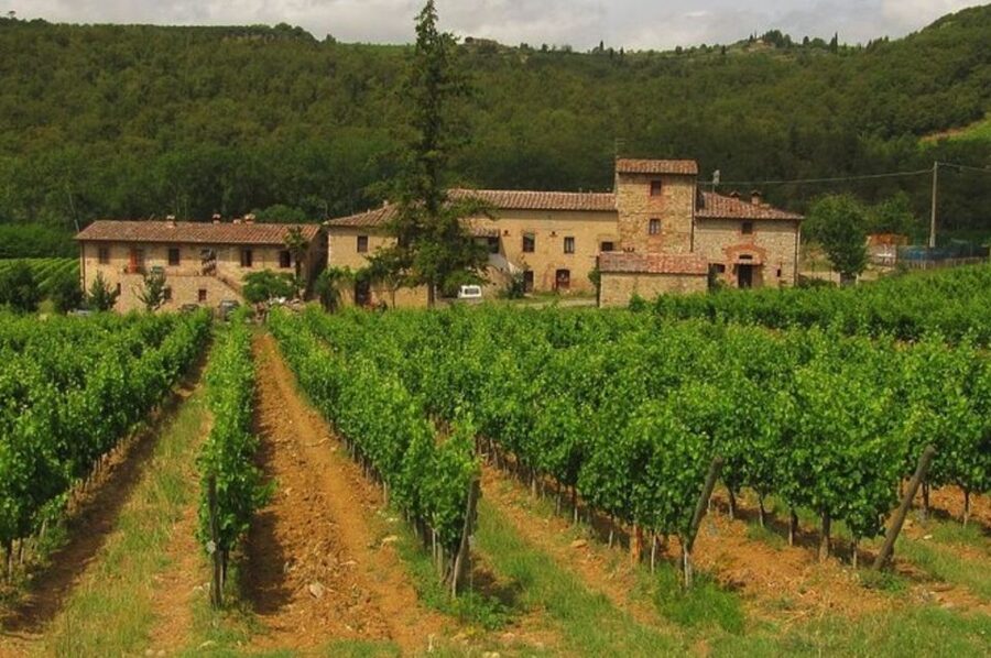 From Florence: Private Wine Tasting Tour in Chianti - The little practical tips that keep Chianti smooth