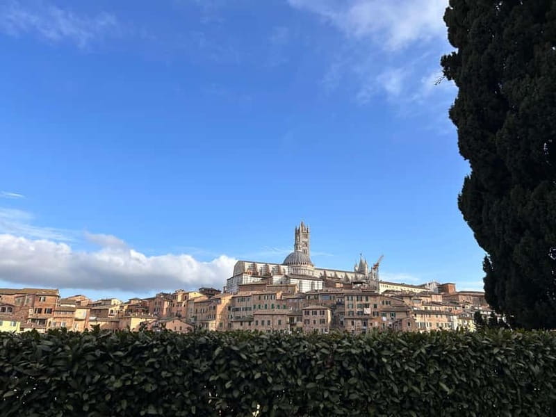 From Florence: San Gimignano, Siena, and Chianti Wine Tour - Key things you should know before you go