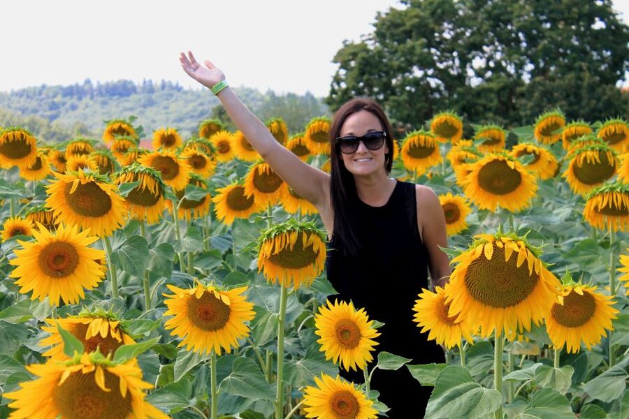 From Florence: Siena, Cortona, Montepulciano & Val D'Orcia - Val dOrcia Cypress Views, Photo Time, and Lunch Breaks