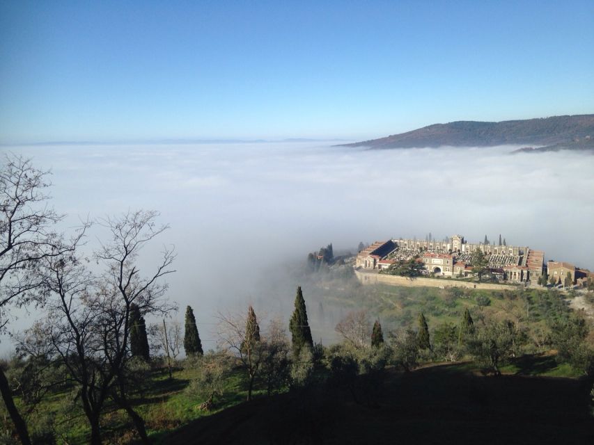 From Florence: Siena, Cortona, Montepulciano & Val D'Orcia - Siena in the Late-Day Light, Movie Backdrops, and Free Wandering