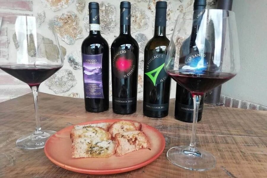From Florence: Siena & San Gimignano Tour with Wine & Lunch - San Gimignano at Human Speed: Towers, Streets, and 1.5 Hours to Do It Your Way