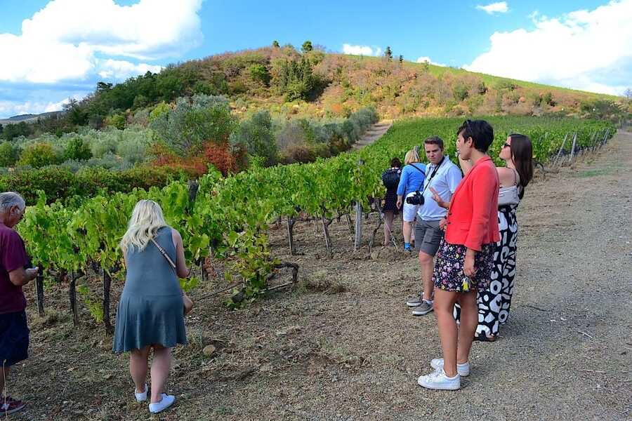 From Florence: Small-Group Chianti Wine Tour 2024 - Key highlights you will feel right away