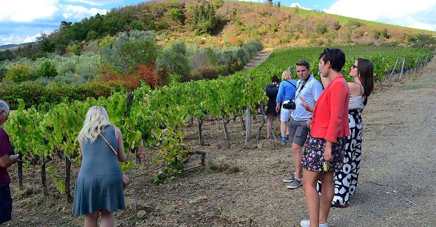 From Florence: Small-Group Chianti Wine Tour 2024 - Stop 1 cellar visit and tastings: learning Chianti step by step