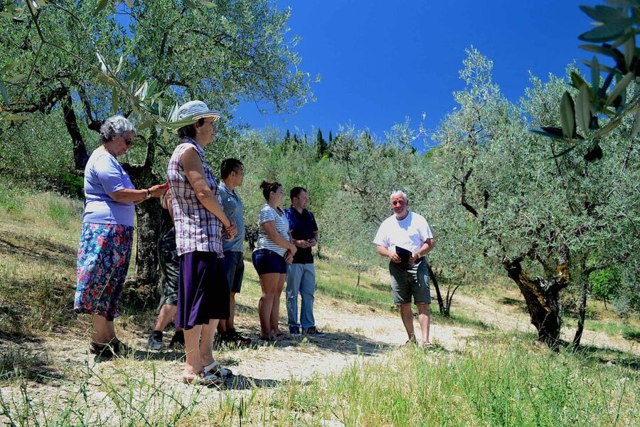 From Florence: Small-Group Chianti Wine Tour 2024 - Lunch at the second winery: a real Tuscan pause with local food