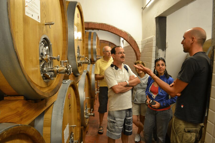 From Florence: Small-Group Chianti Wine Tour 2024 - Stop 3 at a highly rated estate: comparing Chianti with fresh ears