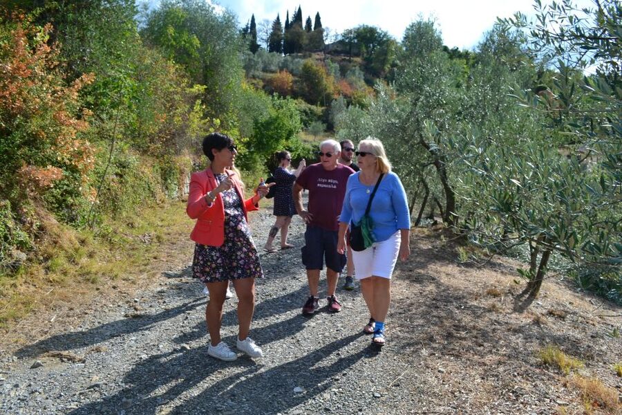 From Florence: Small-Group Chianti Wine Tour 2024 - What you really get for $283.21: value and where it shines