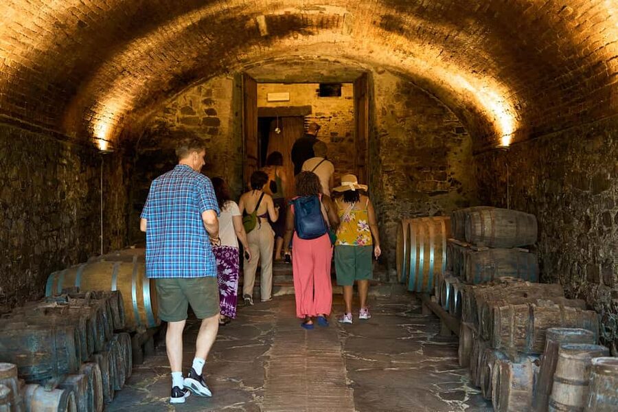 From Florence: Small Group Chianti Wine Tour with Lunch - Key moments you should care about