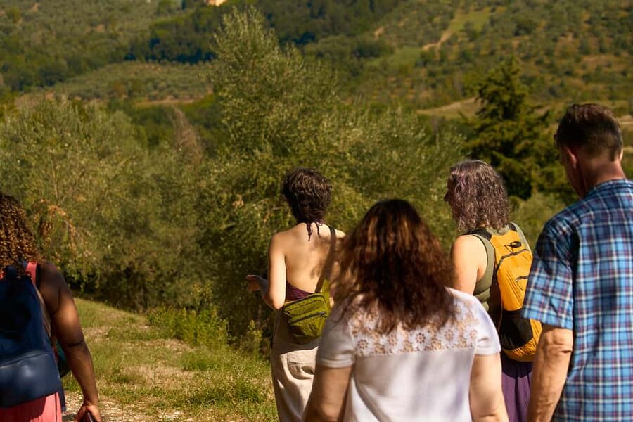 From Florence: Small Group Chianti Wine Tour with Lunch - Stop One: contemporary cellars and a major producer’s philosophy