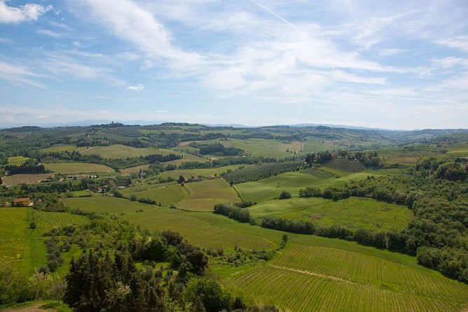 From Florence: Small-Group Tuscany Wine & Oil Tour with typical Tuscan Meal - The second estate and 3-course Tuscan lunch with wine pairings