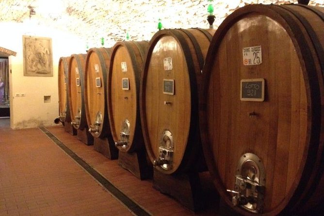 From Florence: Small-Group Tuscany Wine & Oil Tour with typical Tuscan Meal - Pickup, timing, and comfort on a 7-hour wine day