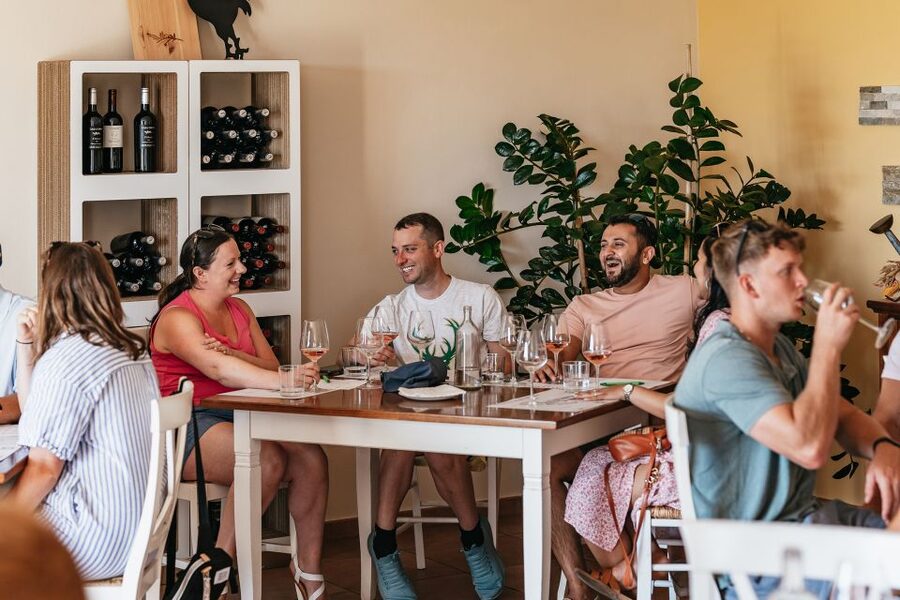 From Florence: Small Group Wine Tasting Tour to Tuscany - Who Should Book This Tour, and Who Should Skip It
