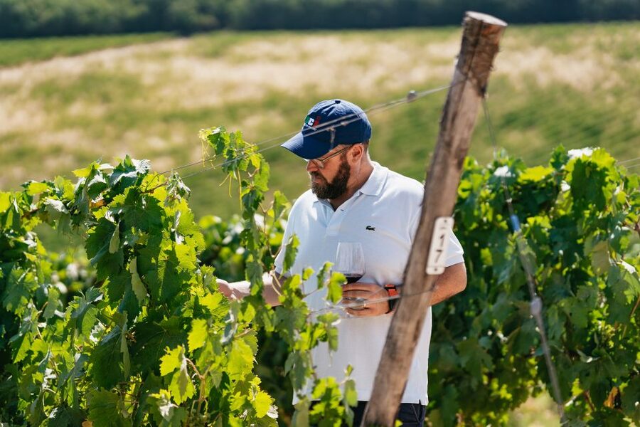 From Florence: Small Group Wine Tasting Tour to Tuscany - Winery Stop One: Cellars, Olive Oil, and Classic Chianti Flavor Structure