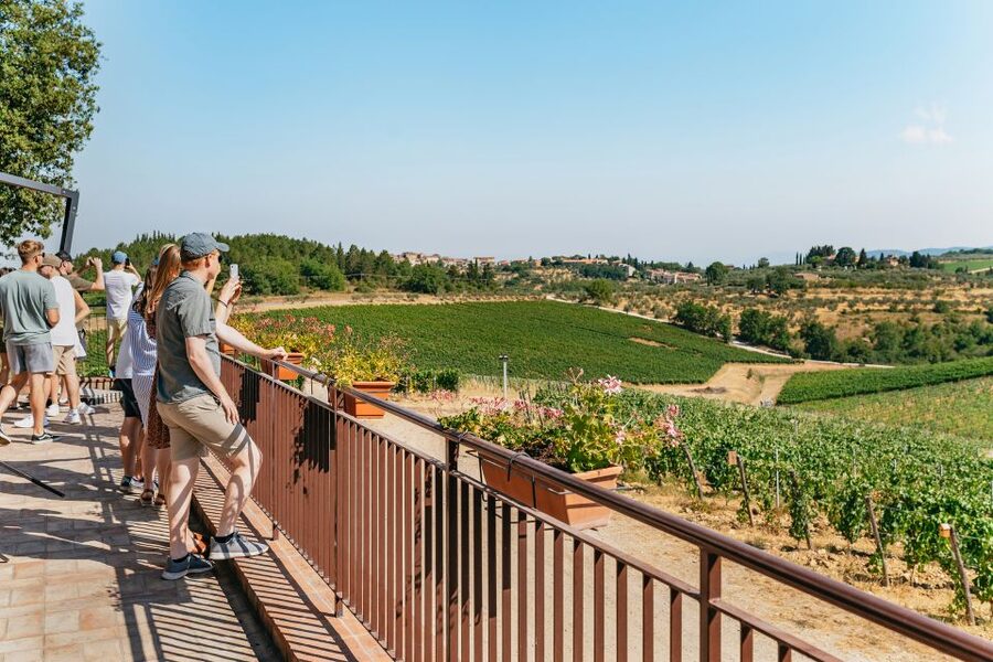 From Florence: Small Group Wine Tasting Tour to Tuscany - Group Size, Guides, and the Minibus Vibe That Changes the Day