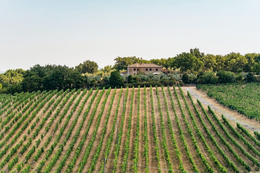 From Florence: Small Group Wine Tasting Tour to Tuscany - Practical Tips That Make Your Tasting Smoother