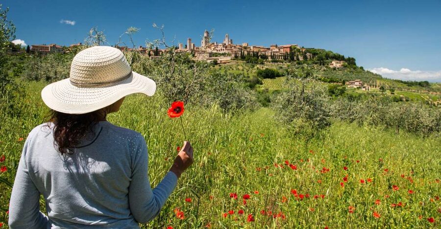 From Florence: Tuscany Highlights Full-Day Tour - Pisa with 1 Hour Free Time: Cathedral, Baptistery, Cemetery Views, and Tower Photos