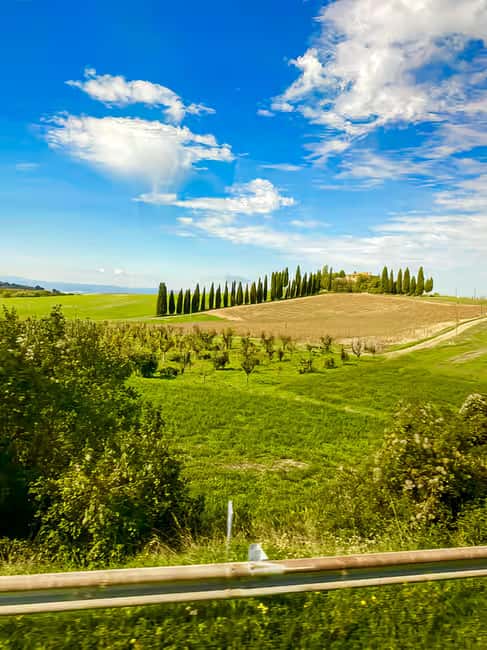 From Florence: Tuscany Hills Wine Tour - Chianti cellar tasting, plus olive oil with actual explanation