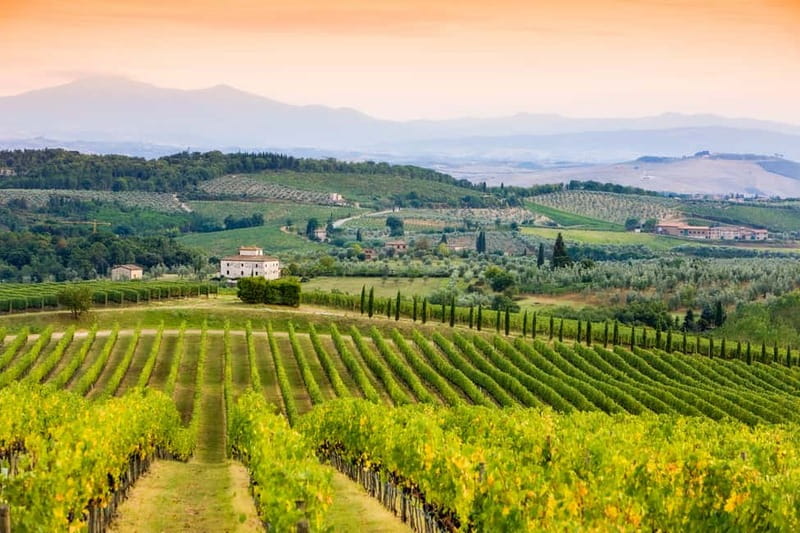 From Florence: Tuscany Wine & Food Tour with Guide - Small group and the guide effect: what makes it feel like more than a tasting